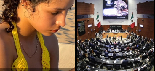 En camino la Ley Nicole